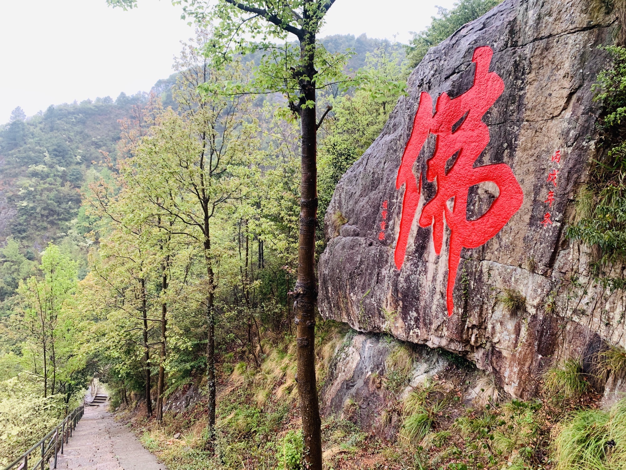 庆国寺实景照片