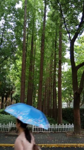 淞沪铁路江湾站旧址旅行图片 3