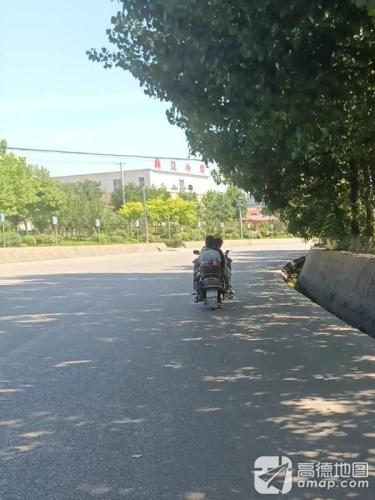 曲江小学