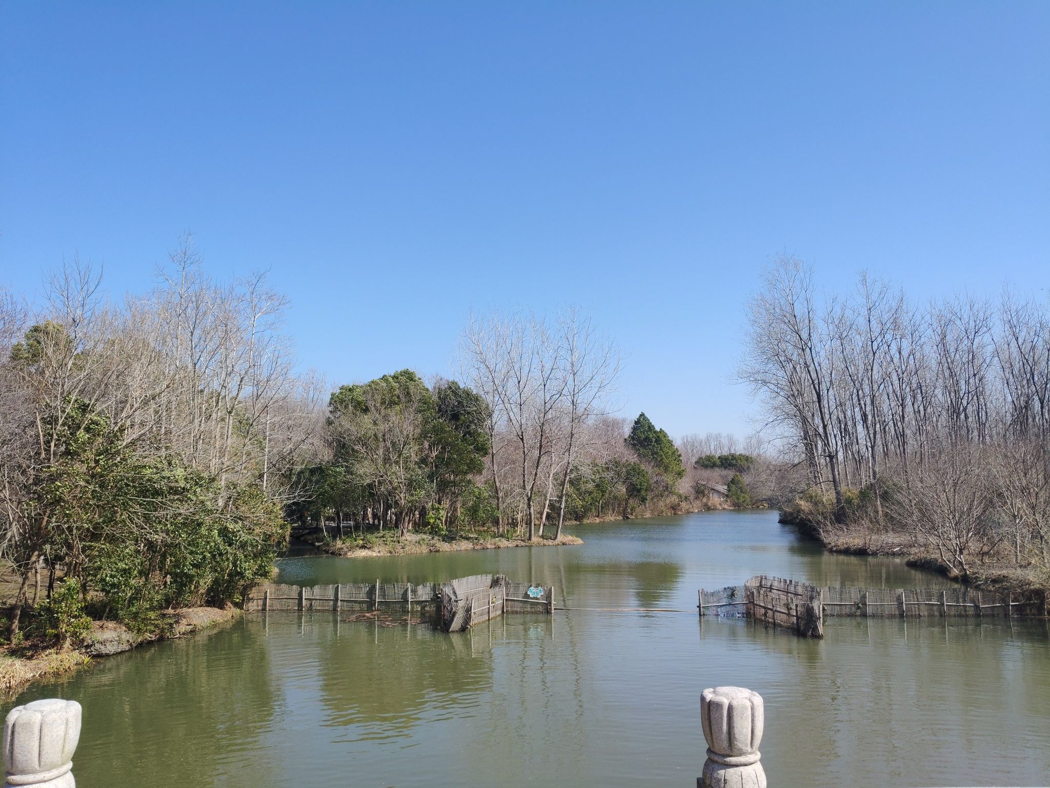 溱湖国家湿地公园-湿地迷宫体验区