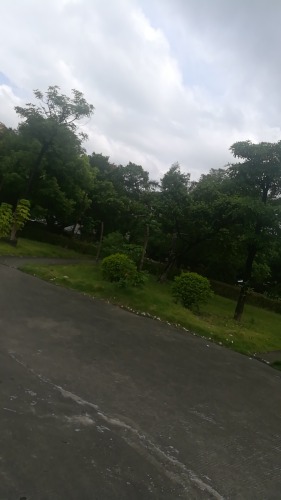 排坊公园旅行图片 3