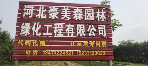 河北豪美森园林绿化工程有限公司