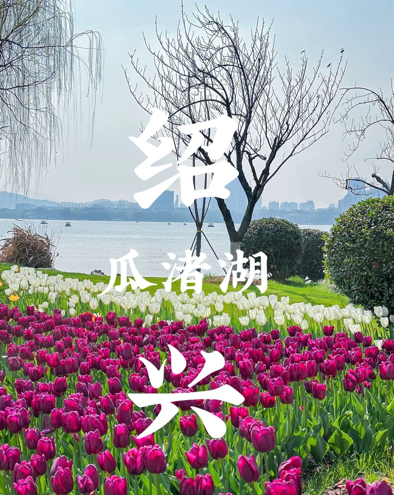 瓜渚湖-南岸公园