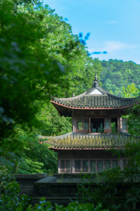 虎跑公园