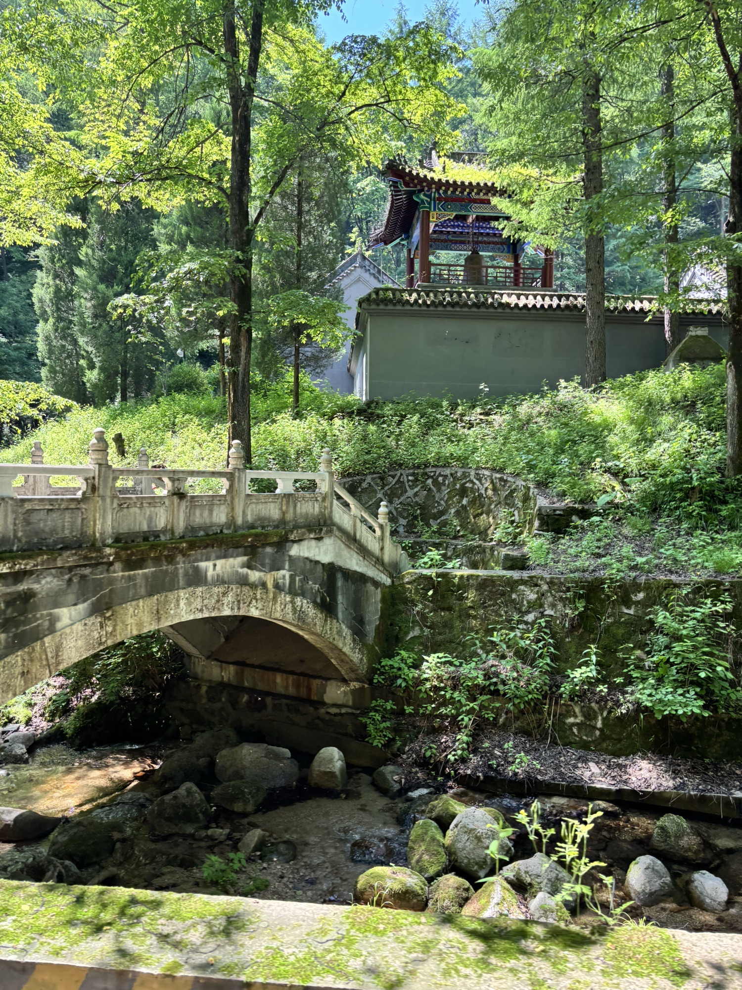 神树寺