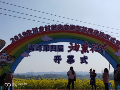 青峰镇油菜花基地旅行图片 1