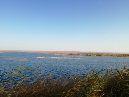 奈伦湖国家湿地公园旅行图片 2