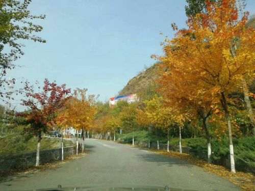 东升游园旅行图片 1