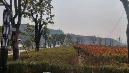 子胥湖文化公园旅行图片 3