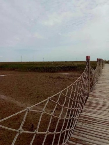 黄河岛旅行图片 1