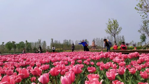 青龙湖风景区旅行图片 3