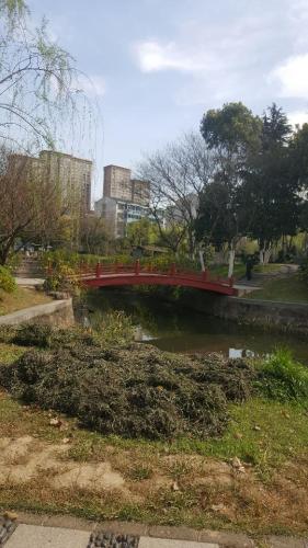 百花园旅行图片 3