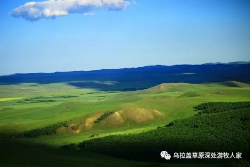 白桦林景区旅行图片 1