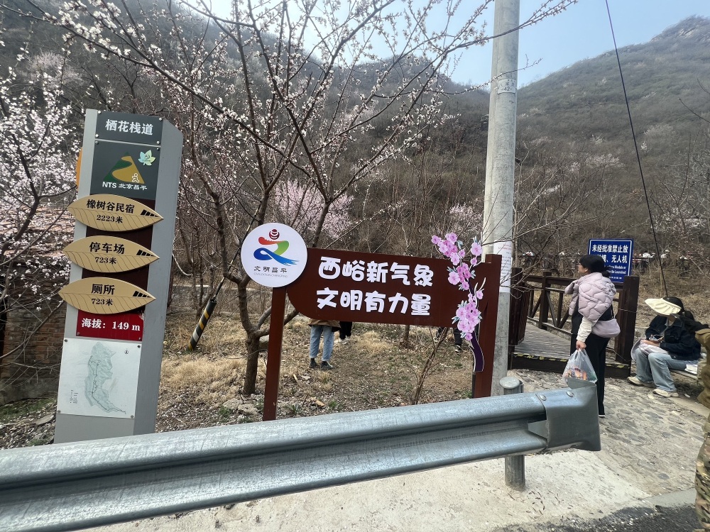 西峪村桃花栈道景点图片
