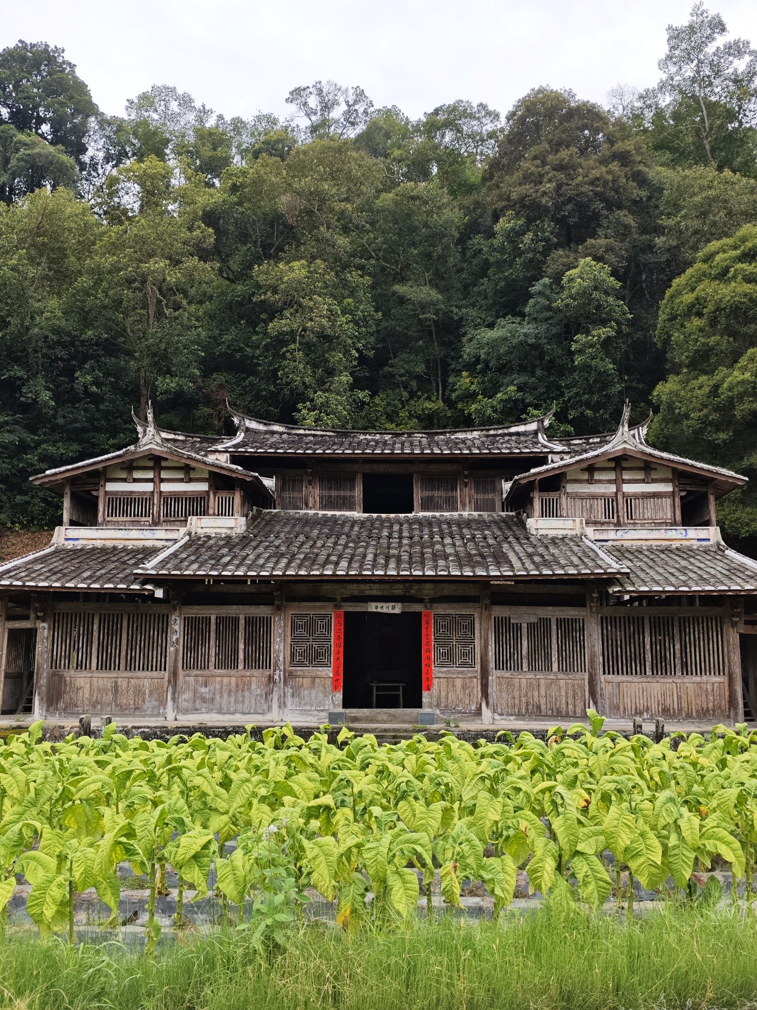 西吉村陈氏宗祠实景照片