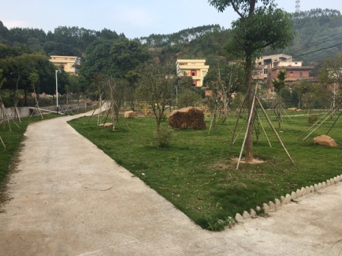 枫木文化广场旅行图片 2