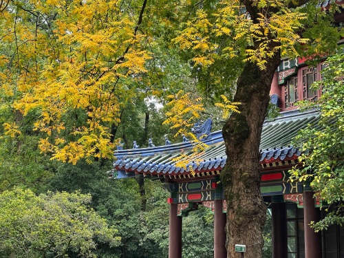 钟山风景区-松风阁