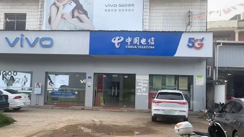 中国电信(南城路店)