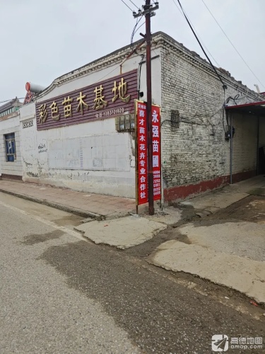永强苗圃