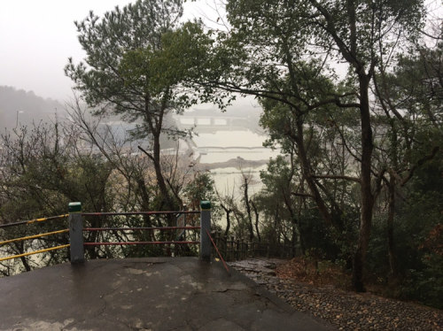 跃龙山公园旅行图片 2