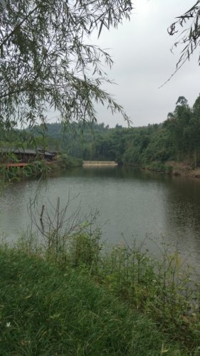 四川国际寿星谷旅行图片 2