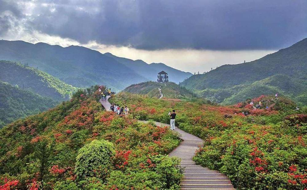 大围山国家森林公园景点图片