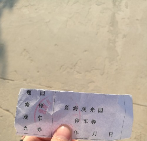 莲海观光园旅行图片 2