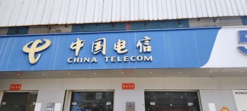 中国电信(九所镇特许营业厅)