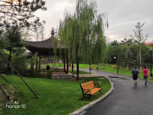 锦园公园旅行图片 1