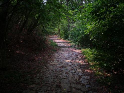 景山近邻公园旅行图片 3