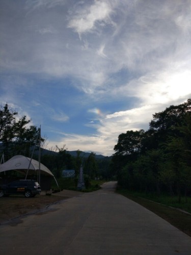 金甲溪森林漂流(暂停开放)旅行图片 1
