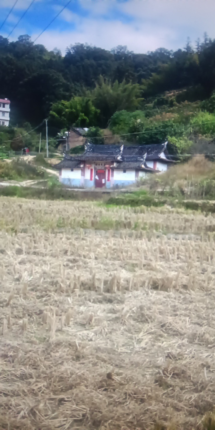 温氏宗祠-六世义公祠实景照片