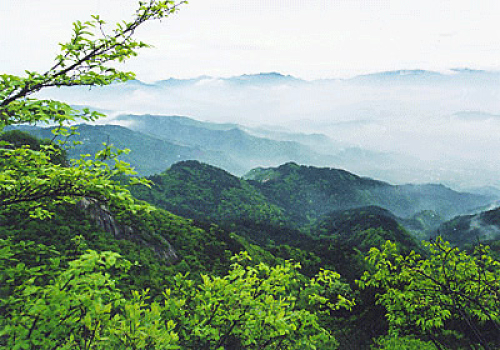 鸡公山风景区景点图片