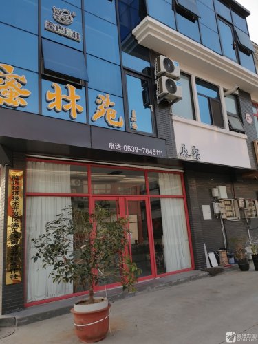 临沂经济技术开发区满天飞蜜蜂养殖合作社实景图