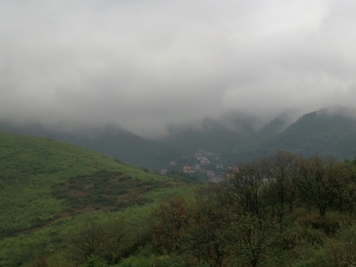 金钉子地质遗迹自然保护区旅行图片 3
