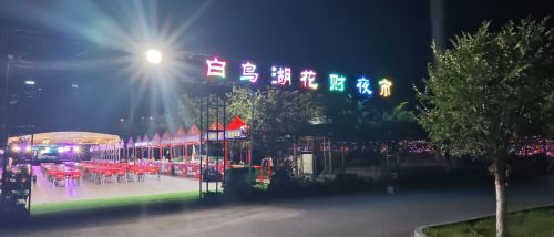 白鸟湖花财夜市