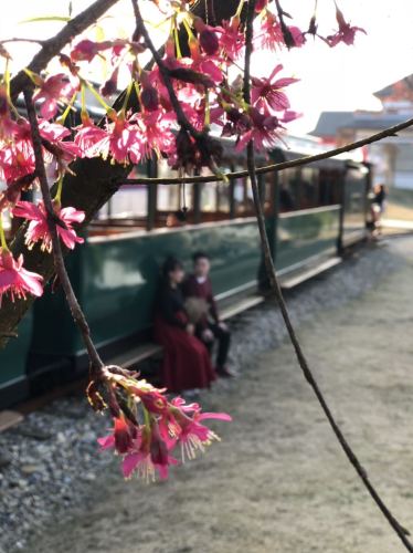 小隐竹源景区旅行图片 2