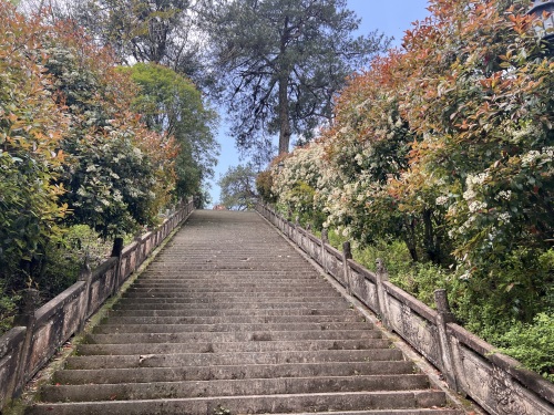 伯温公园