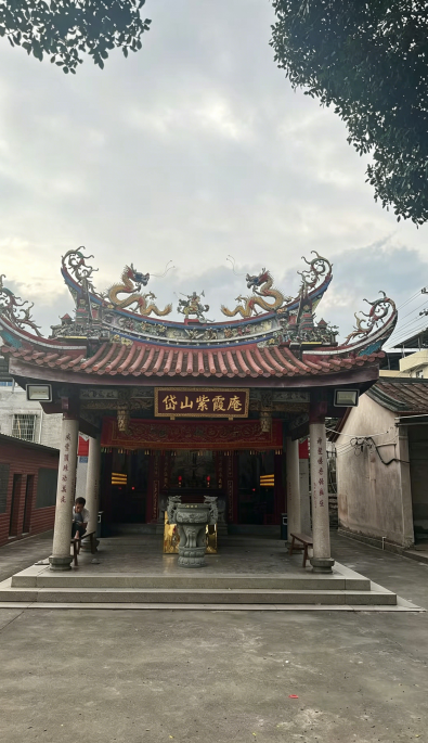 岱山紫霞庵(顶庵)实景照片