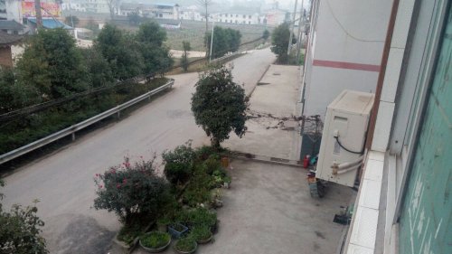 雪峰现代农业园区旅行图片 1