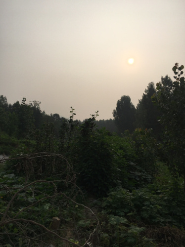 赵邱公园旅行图片 3
