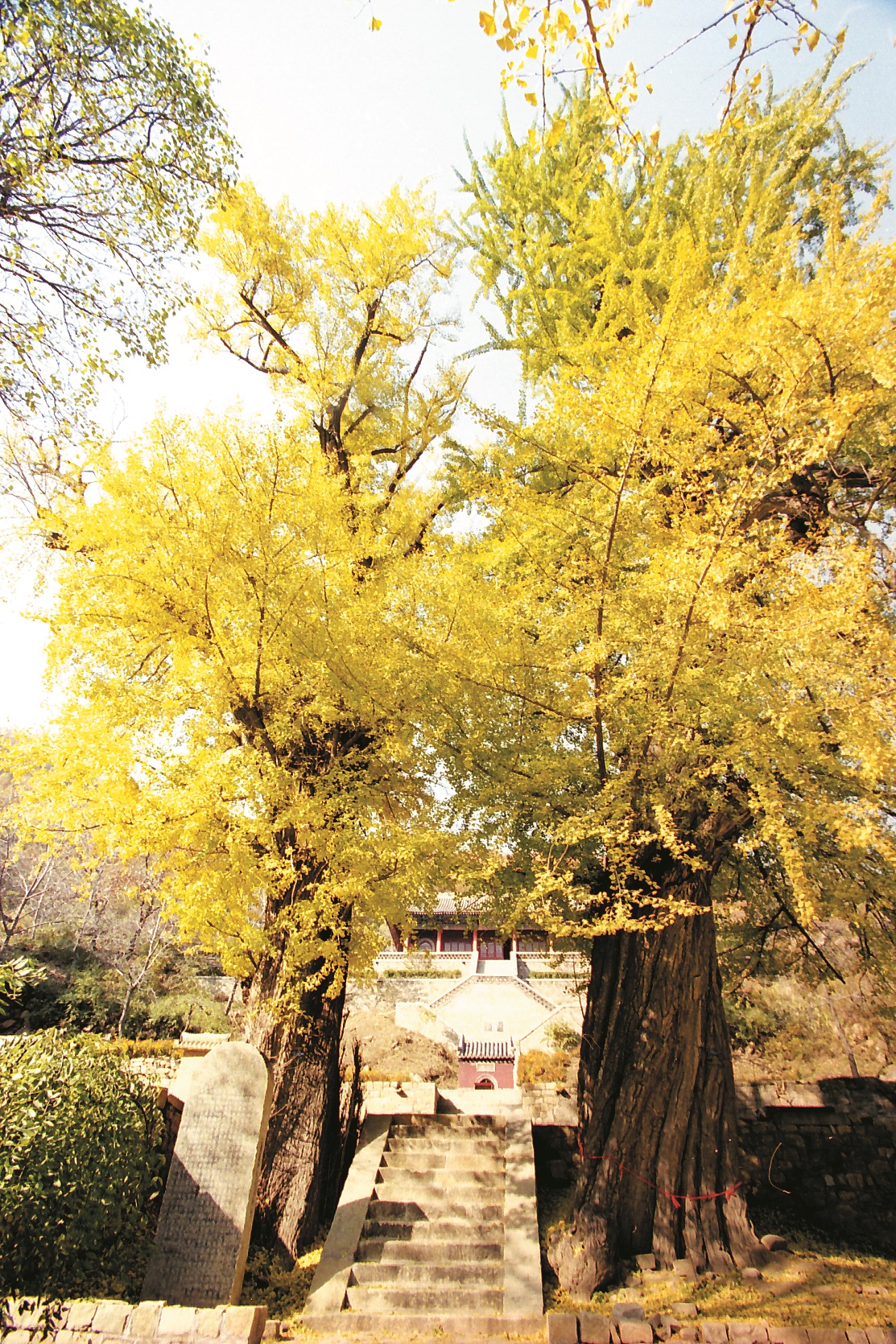 玉泉寺景区实景照片