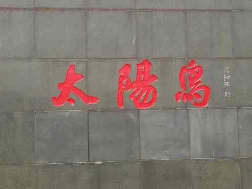 太阳鸟标志旅行图片 1
