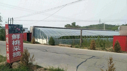 土门大棚蔬菜采摘园