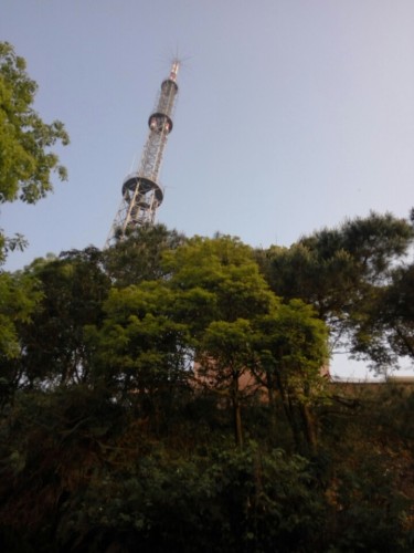 贞山电视塔(不对外开放)旅行图片 2