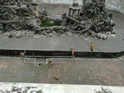 中山公园旅行图片 1