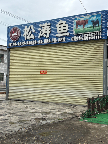 松涛鱼饭店
