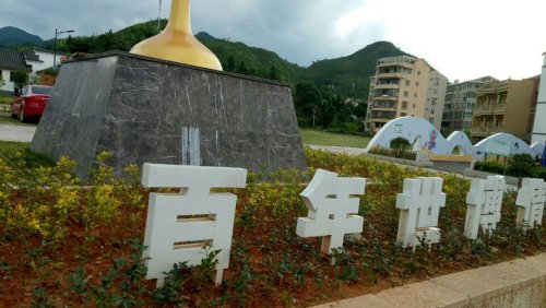 世博广场旅行图片 1