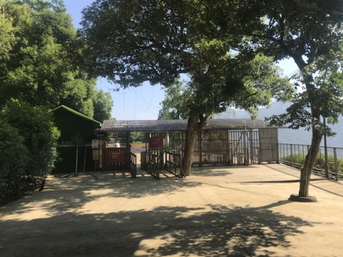 新昌薰衣草庄园旅行图片 3