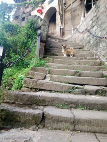 丙安铁索桥旅行图片 2